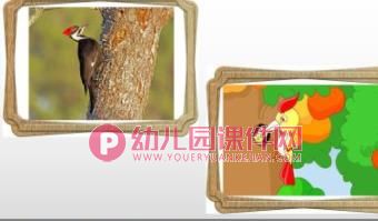 大班美术课件PPT《找动物》PPT课件图片