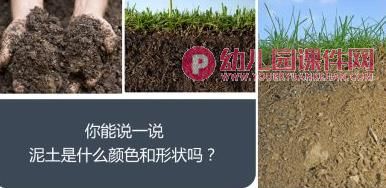 大班美术课件PPT《蚂蚁的家》PPT课件图片