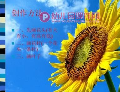 大班美术活动课件PPT《美丽的向日葵》PPT课件图片
