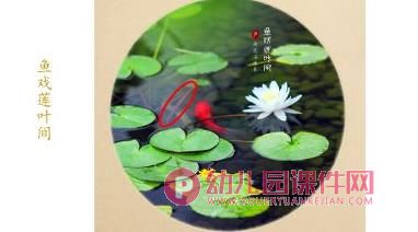 大班美术课件PPT《鱼戏莲叶间》PPT课件图片