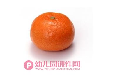 大班美术课件PPT《橘子红了》PPT课件图片