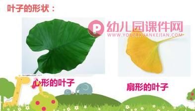 大班美术活动课件PPT《树叶拼贴画》PPT课件图片