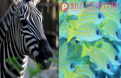大班美术课件PPT《创意彩条装饰》PPT课件图片