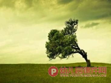 大班美术课件PPT《风中的树》PPT课件图片