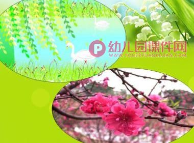 大班美术课件PPT《大眼睛》PPT课件图片