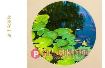 大班美术课件PPT《鱼戏莲叶间》PPT课件图片