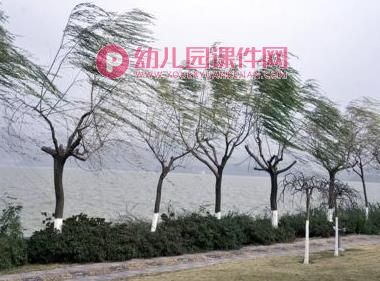 大班美术课件PPT《风中的树》PPT课件图片