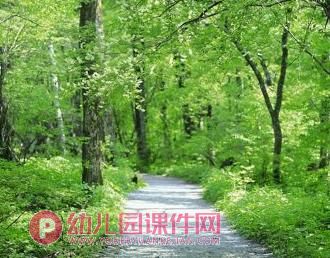 大班美术课件PPT《四季的小路》PPT课件图片