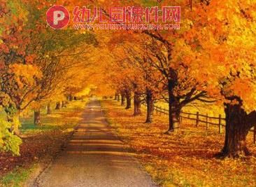 大班美术活动课件PPT《多彩的秋天》PPT课件图片