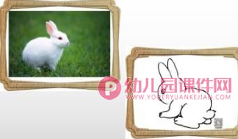 大班美术课件PPT《找动物》PPT课件图片
