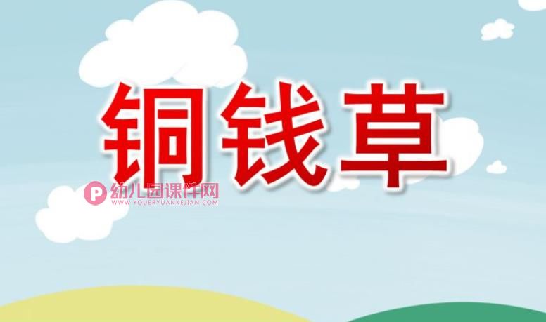 大班绘画课件PPT《铜钱草》PPT课件图片