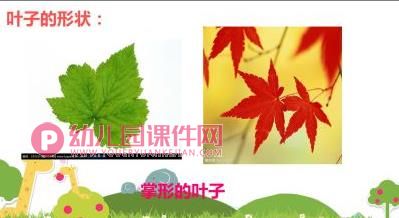 大班美术活动课件PPT《树叶拼贴画》PPT课件图片