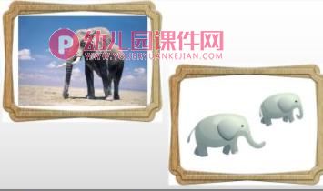 大班美术课件PPT《找动物》PPT课件图片