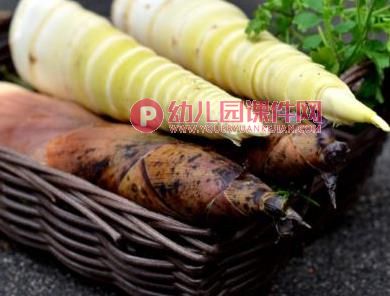 大班美术课件PPT《春雨》PPT课件图片