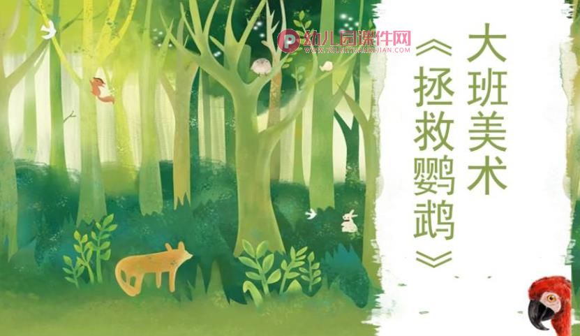 大班美术课件PPT《拯救鹦鹉》PPT课件图片