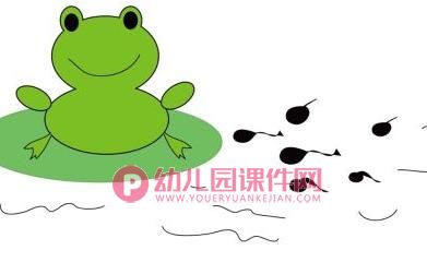 大班美术连环画课件PPT《小蝌蚪找妈妈》PPT课件图片