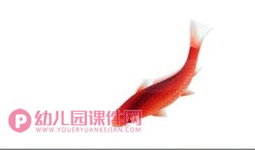 大班美术课件PPT《鱼戏莲叶间》PPT课件图片