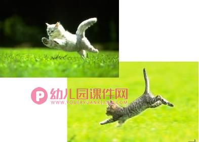 大班美术课件PPT《猫咪的故事》PPT课件图片