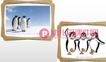 大班美术课件PPT《找动物》PPT课件图片