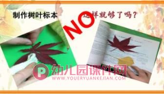 大班美术课件PPT《秋 印记》PPT课件图片