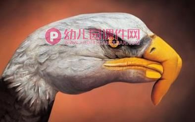 大班美术活动课件PPT《手部彩绘》PPT课件音乐图片