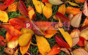 大班美术活动课件PPT《多彩的秋天》PPT课件图片