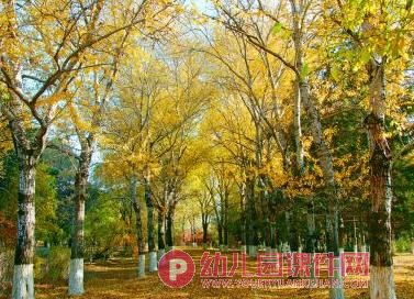 大班美术水粉画课件PPT《秋天的树林》PPT课件图片