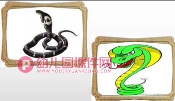 大班美术课件PPT《找动物》PPT课件图片