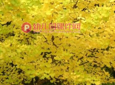 大班美术活动课件PPT《树叶添画》PPT课件图片