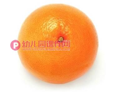 大班美术课件PPT《橘子红了》PPT课件图片