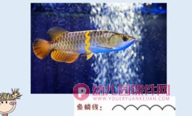 大班艺术课件PPT《有趣的线条》PPT课件图片