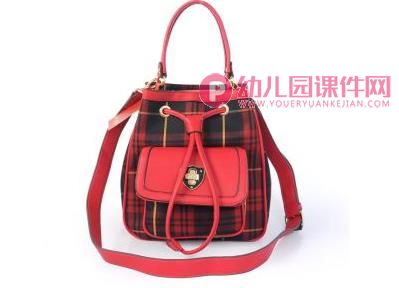 大班美术课件PPT《我给妈妈设计包》PPT课件图片