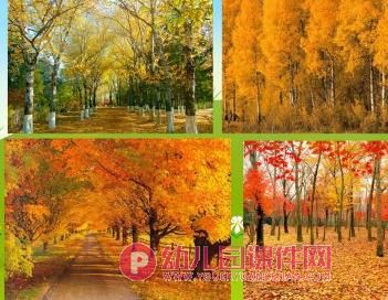 大班美术活动课件PPT《多彩的秋天》PPT课件图片