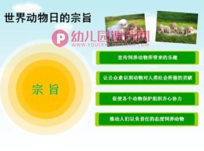 大班社会课件PPT《世界动物日》PPT课件图片