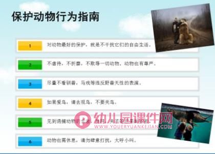 大班社会课件PPT《世界动物日》PPT课件图片