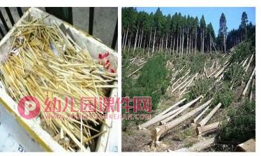 大班社会课件PPT《中国筷》PPT课件图片