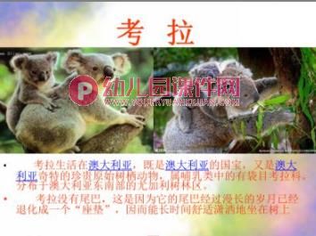 大班社会活动课件PPT《珍稀动物》PPT课件图片