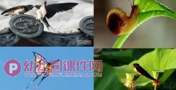 大班社会课件PPT《做个守信用的孩子》PPT课件图片
