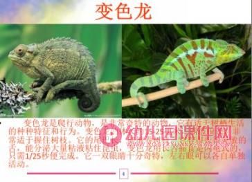 大班社会活动课件PPT《珍稀动物》PPT课件图片