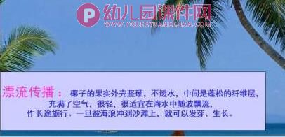 大班社会活动课件PPT《种子的旅行》PPT课件图片