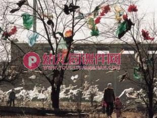 中班社会课件PPT《白色垃圾污染大》PPT课件图片
