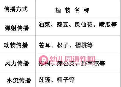 大班社会活动课件PPT《种子的旅行》PPT课件图片