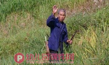 大班社会课件PPT《秋收真快乐》PPT课件图片