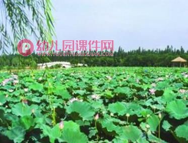 中班社会课件PPT《白色垃圾污染大》PPT课件图片