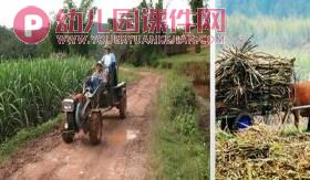 大班社会课件PPT《家乡的变化》PPT课件图片