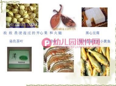 大班社会课件PPT《绿色家园》PPT课件图片