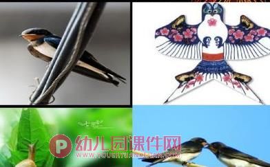 大班社会课件PPT《做个守信用的孩子》PPT课件图片