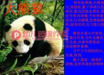 大班社会活动课件PPT《珍稀动物》PPT课件图片