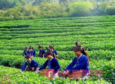 大班社会活动课件PPT《美丽的祖国》PPT课件图片