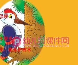 大班社会课件PPT《爱鸟聚会》PPT课件图片